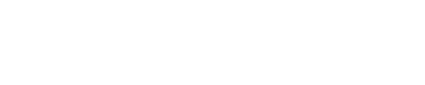 Selecta logo4